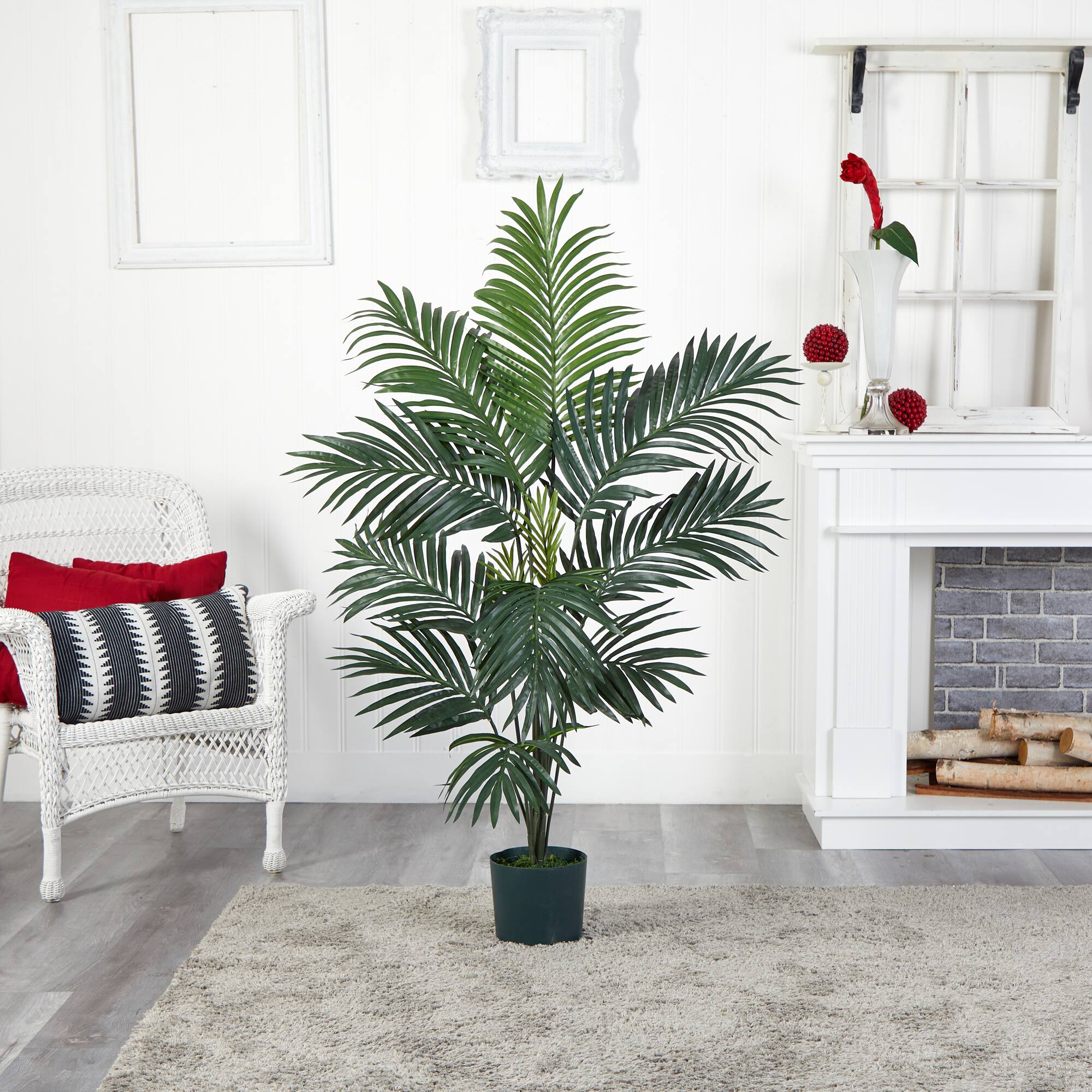 5ft. Potted Kentia Palm Tree